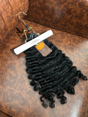 Burmese Curly (SN '25)