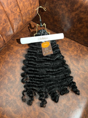 Burmese Curly (SN '25)